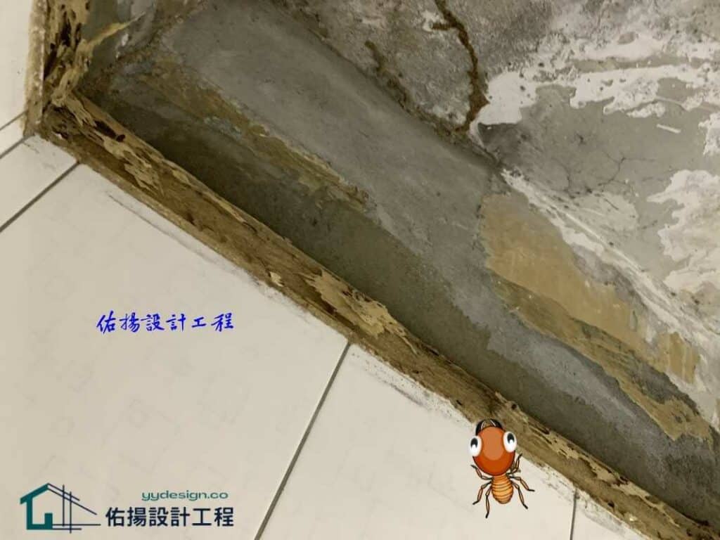 廁所浴室天花板-白蟻將天花板角材吃光2